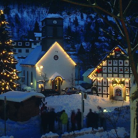 Hôtel Die Tenne à Willingen  Extérieur photo